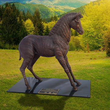 Wild Baby Grevy's Zebra (Bronze Sculpture)