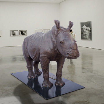 Wild Baby White Rhino (Bronze Sculpture)