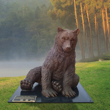 Wild Baby Marsican Brown Bear (Bronze Sculpture)
