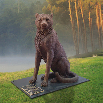 Wild Baby Cheetah (Bronze Sculpture)