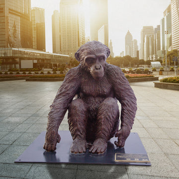 Wild Baby Chimpanzee (Bronze Sculpture)