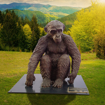 Wild Baby Chimpanzee (Bronze Sculpture)