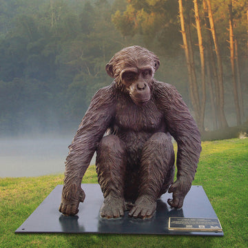 Wild Baby Chimpanzee (Bronze Sculpture)