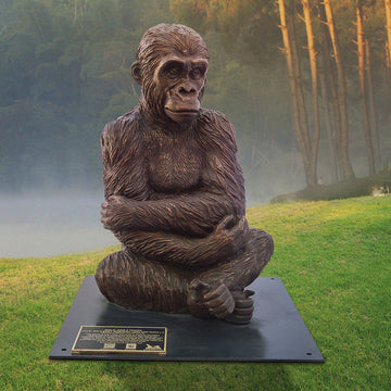 Wild Baby Western Lowland Gorilla (Bronze Sculpture)