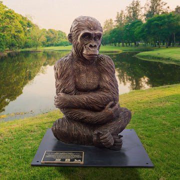 Wild Baby Western Lowland Gorilla (Bronze Sculpture)