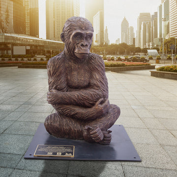 Wild Baby Western Lowland Gorilla (Bronze Sculpture)