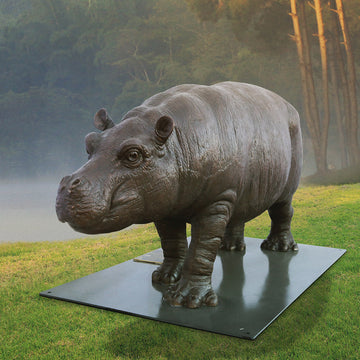 Wild Baby Hippo (Bronze Sculpture)