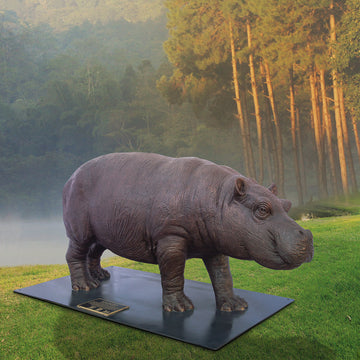 Wild Baby Hippo (Bronze Sculpture)