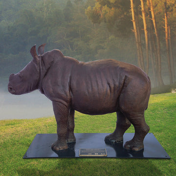 Wild Baby White Rhino (Bronze Sculpture)