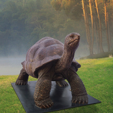 Wild Baby Giant Tortoise (Bronze Sculpture)