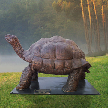 Wild Baby Giant Tortoise (Bronze Sculpture)