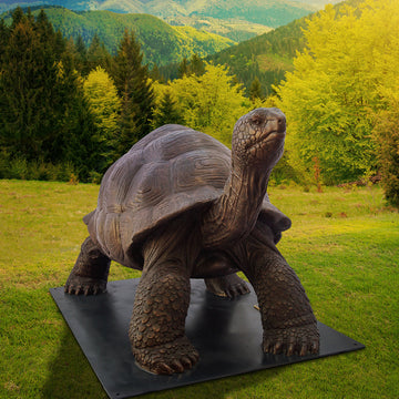 Wild Baby Giant Tortoise (Bronze Sculpture)