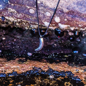 Their love was fierce and gentle at once (Silver Horn Pendant)