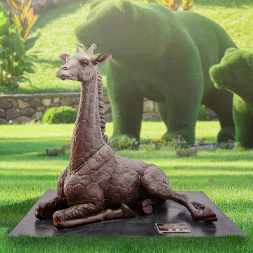 Wild Baby Giraffe (Bronze Sculpture)