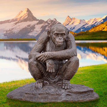 Wild Chimp Grief (Bronze Sculpture)