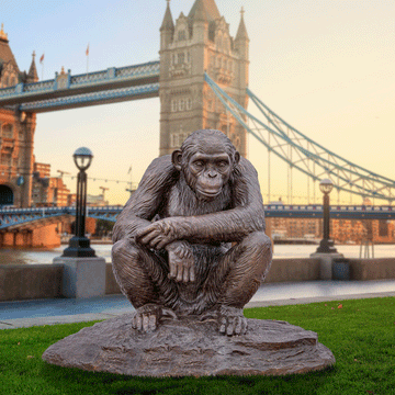 Wild Chimp Grief (Bronze Sculpture)