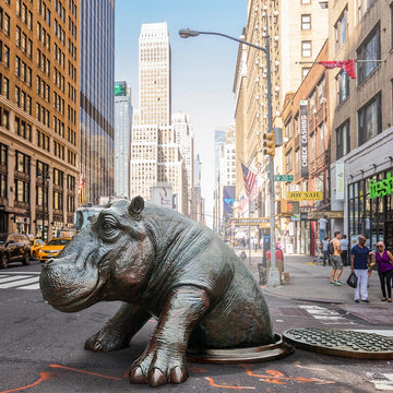 Come Out, Come Out Hippo, Wherever You Are (Bronze Sculpture, Large)