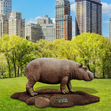 Tiny Baby Wonder Hippo (Bronze Sculpture)