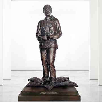 Jane Goodall (Bronze Sculpture)