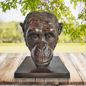 Kabaka the Chimp was a Face of the Wild (Bronze Sculpture)