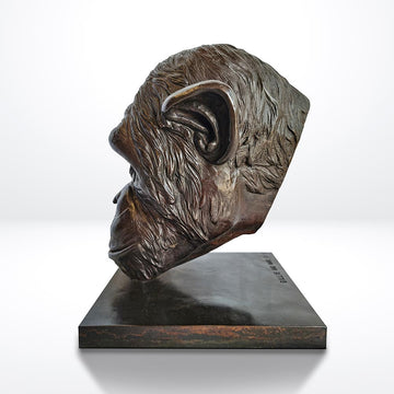 Kabaka the Chimp was a Face of the Wild (Bronze Sculpture)