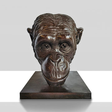 Kabaka the Chimp was a Face of the Wild (Bronze Sculpture)