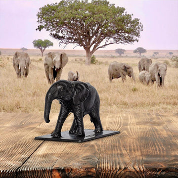 Kiombo (Bronze Sculpture)