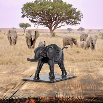 Mwashoti (Bronze Sculpture)