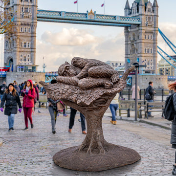 Wild Chimp Nest Making (Bronze Sculpture)