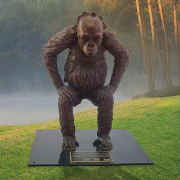 Wild Baby Sumatran Orangutan (Bronze Sculpture)