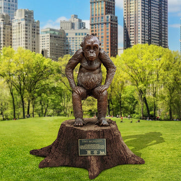 Tiny Baby Wonder Sumatran Orangutan (Bronze Sculpture)