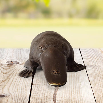 Platypus Comes Into a Better Tomorrow (Bronze Sculpture, Pocket Size)