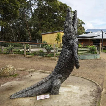 Jumping Gator (Bronze Sculpture)