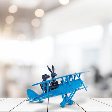 They Were Flying High (Tiger Moth Plane Miniature)