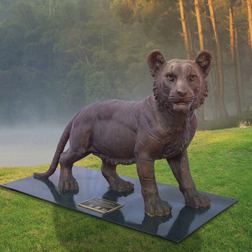 Wild Baby Bengal Tiger (Bronze Sculpture)