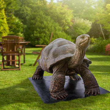 Wild Baby Giant Tortoise (Bronze Sculpture)