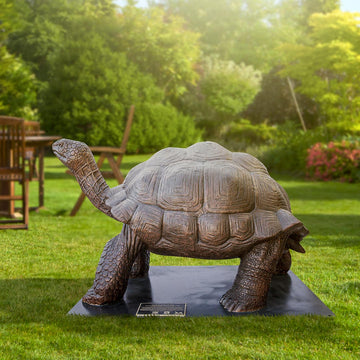 Wild Baby Giant Tortoise (Bronze Sculpture)
