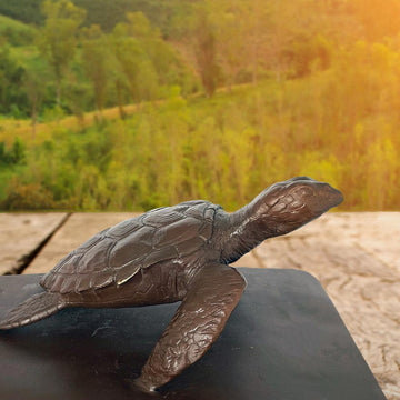 Love the Hawksbill Turtle (Bronze Sculpture)