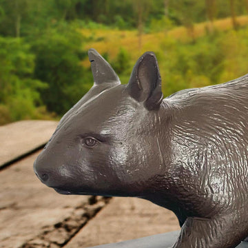 Love the Hairy Nosed Wombat (Bronze Sculpture)